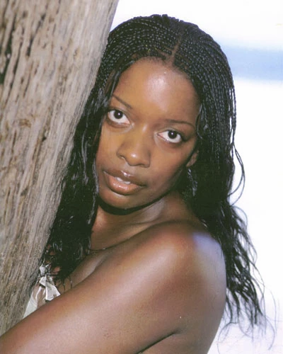 Beautiful braid style by Angel Hair Braids